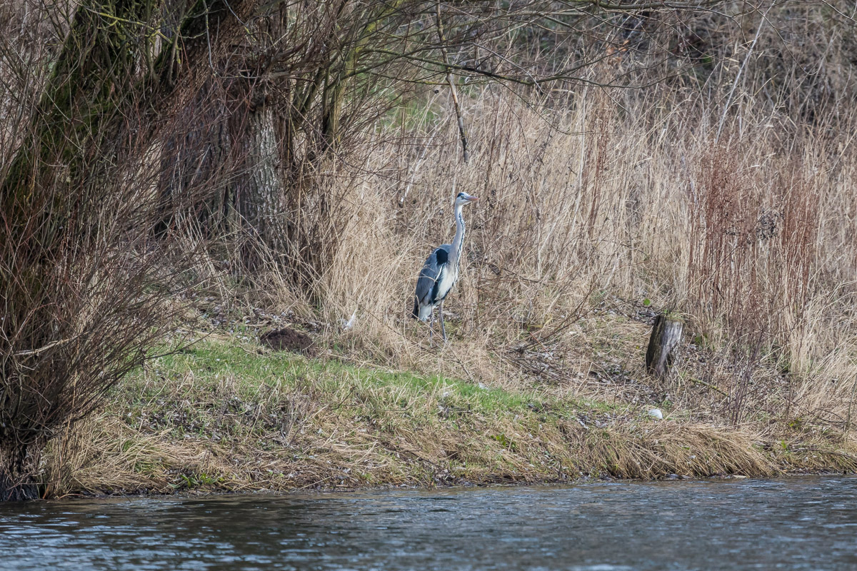 IMG_4206__ - Kopie.jpg