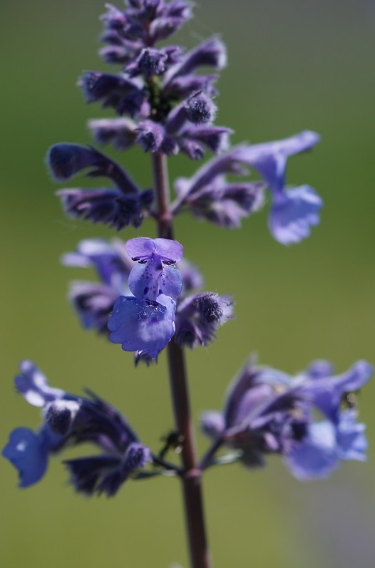 Ich bin gar kein Felgenbaum - bearbeitet.jpg