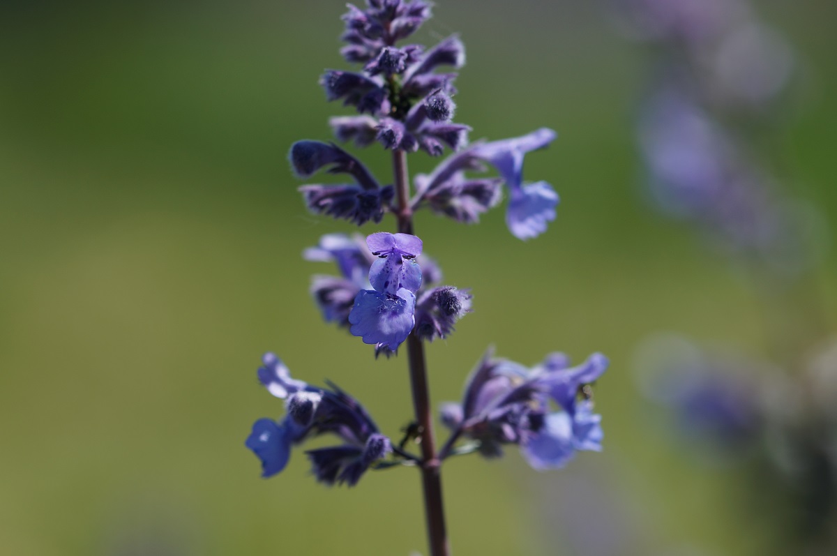 Ich bin gar kein Felgenbaum.JPG