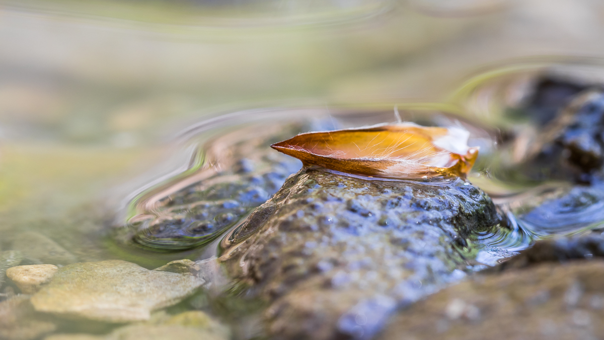 IMG_5504_ - Kopie.jpg