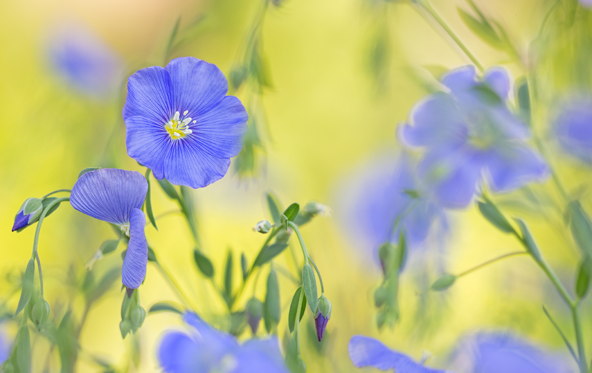 _MG_4328-Bearbeitet Kopie.jpg