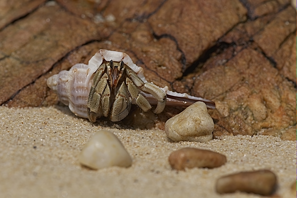 IMG_7329_Tiny House.jpg