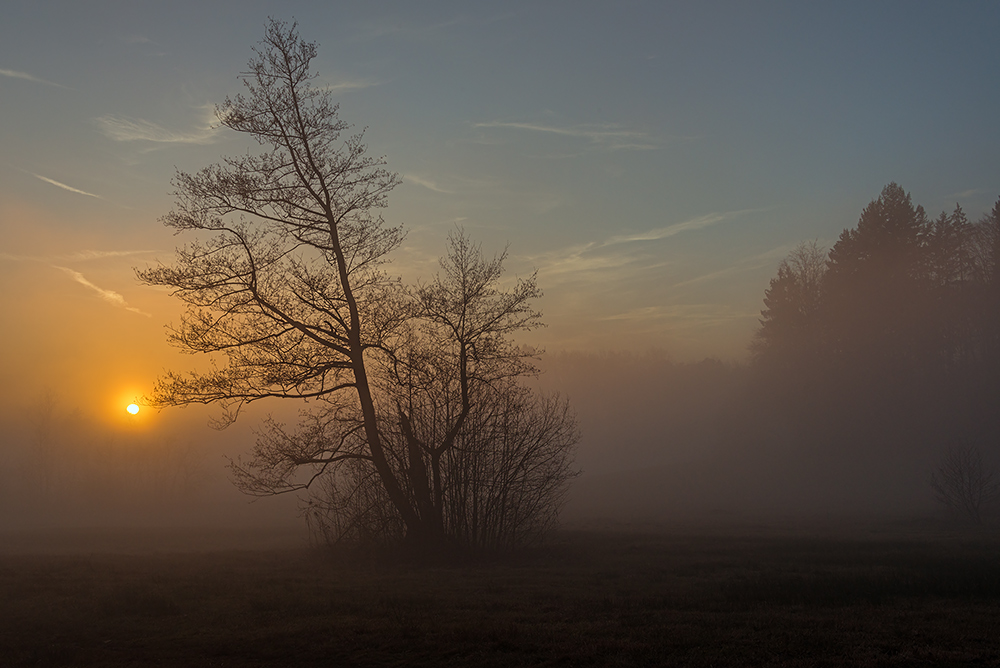 compAmbitzgiriedNebelabend28.12.2015Wetzikon,HinwilDSC_2611.jpg