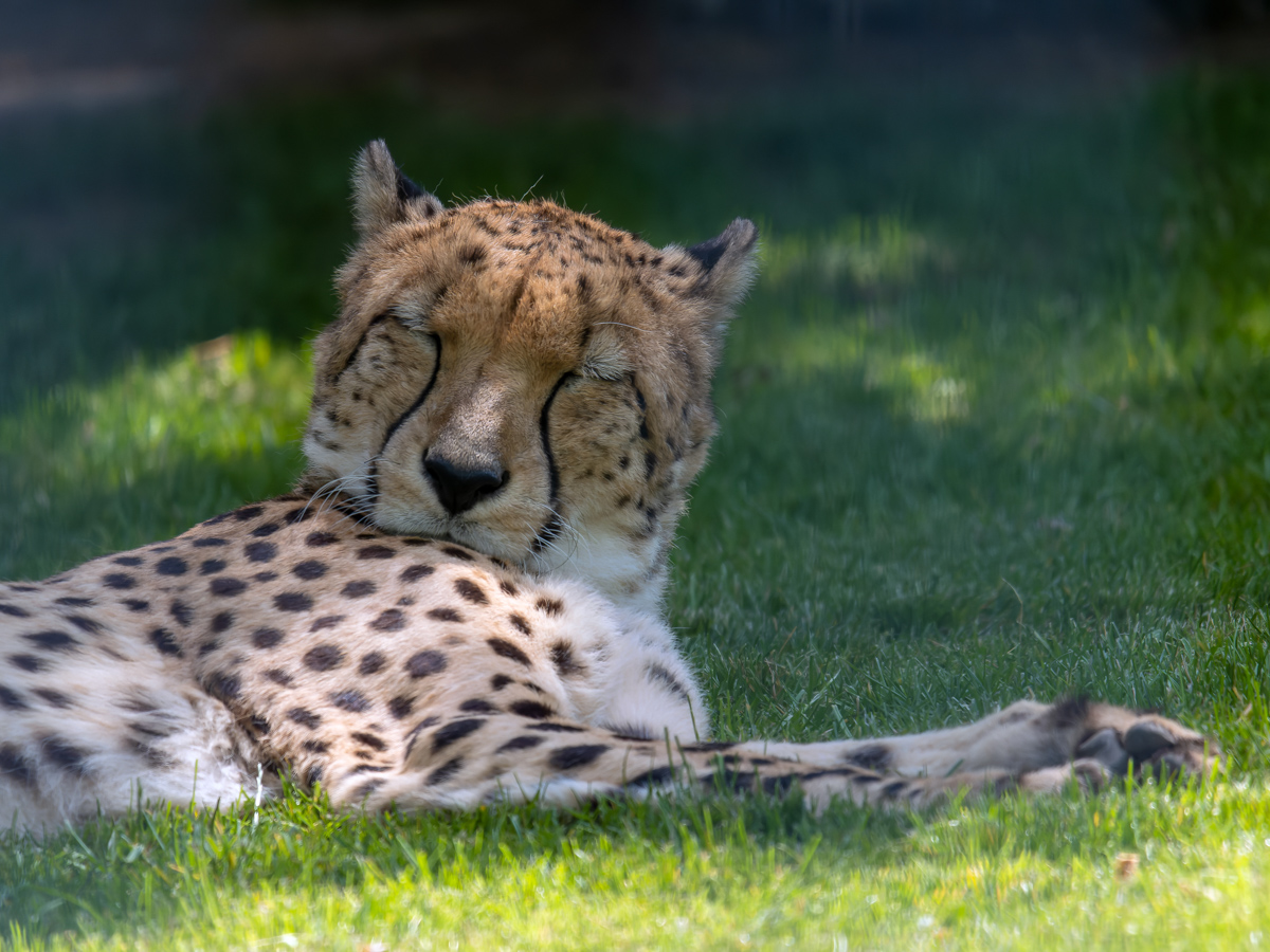 20220602-P1010076-RW2_ (2).jpg