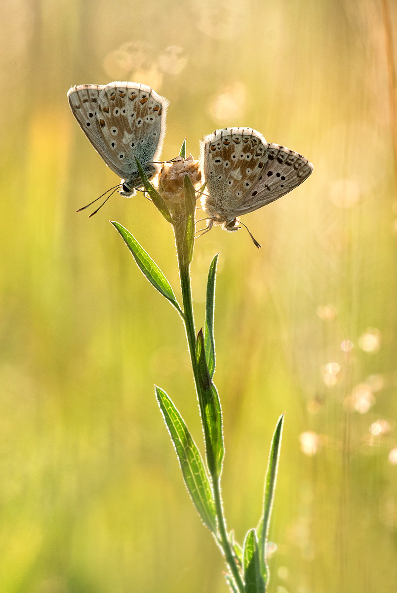 _MG_6368-Bearbeitet Kopie1.jpg