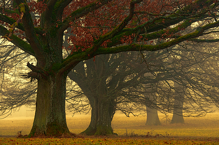 DSC_0414 Kopie 2.jpg