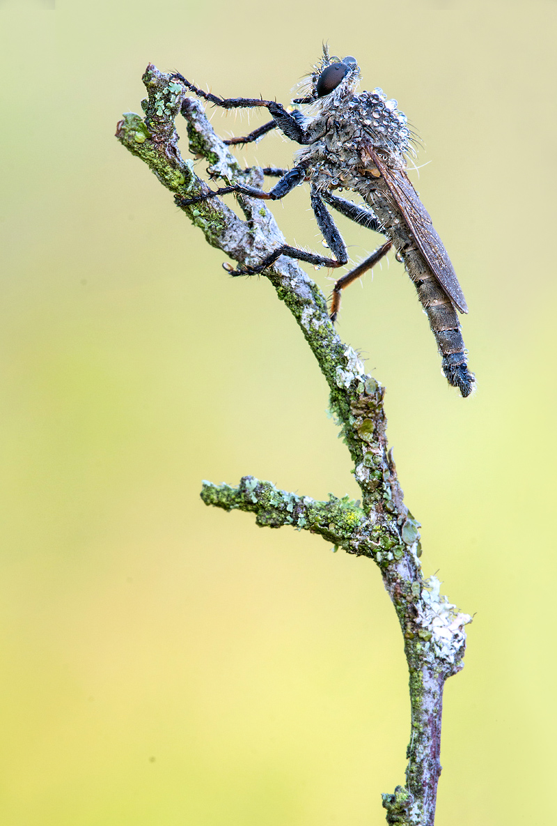 _MG_6680-Bearbeitet Kopie1.jpg