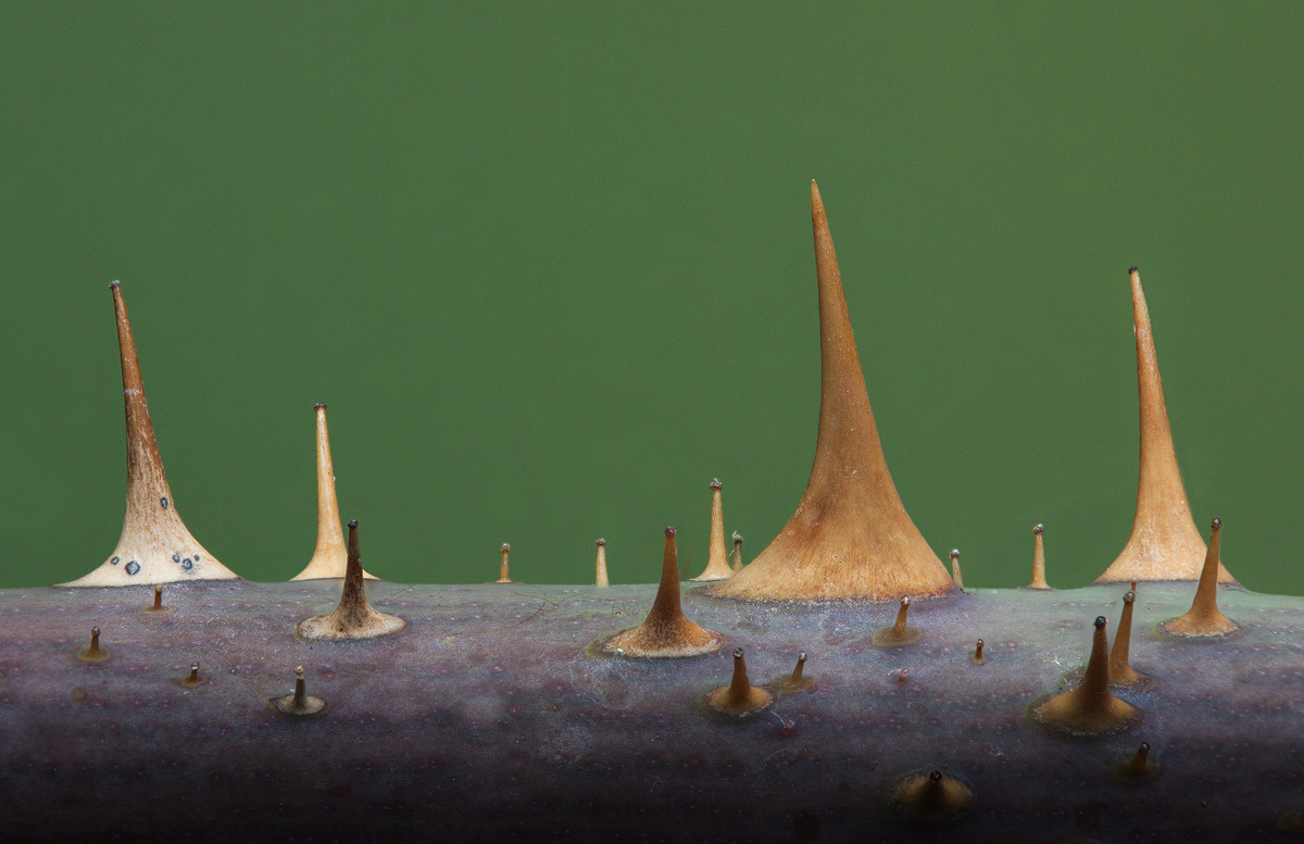 2022-11-18 16-00-19 (B,Radius8,Smoothing4)144-Bearbeitet-Bearbeitet - Kopie.jpg