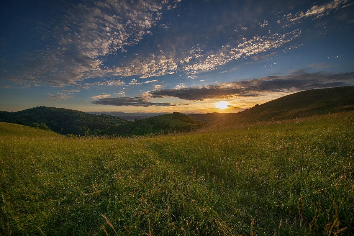 DSC00687.c.kl Kopie.jpg