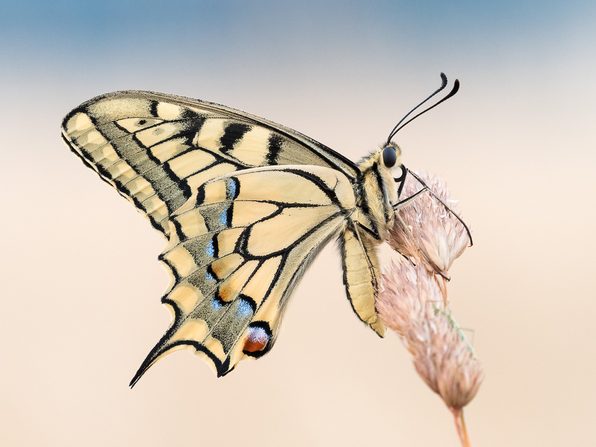 OOG53683-Bearbeitet-1200-2.jpg