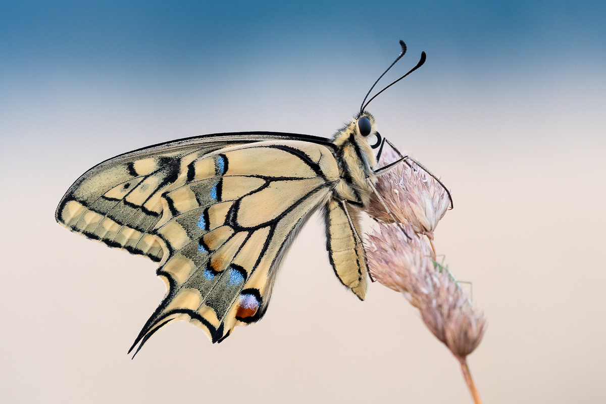 OOG53655-Bearbeitet-1200-2.jpg