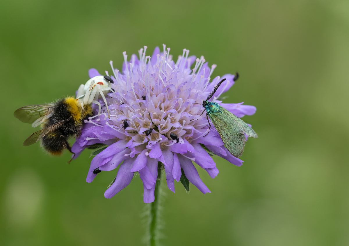 2023-01-20 10-11-37 (B,R8,S4).b.kl Kopie.jpg