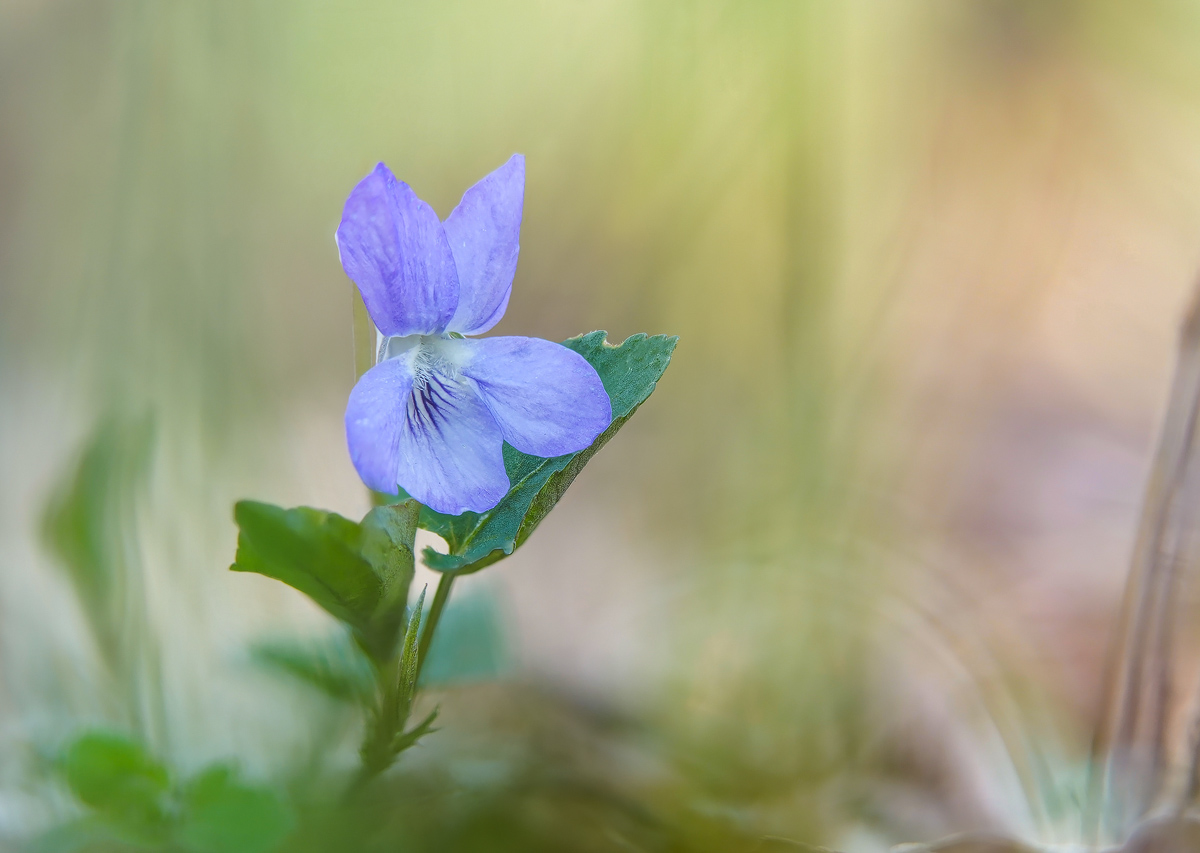 2023-01-24 19-09-26 (B,R8,S4).e.kl Kopie.jpg