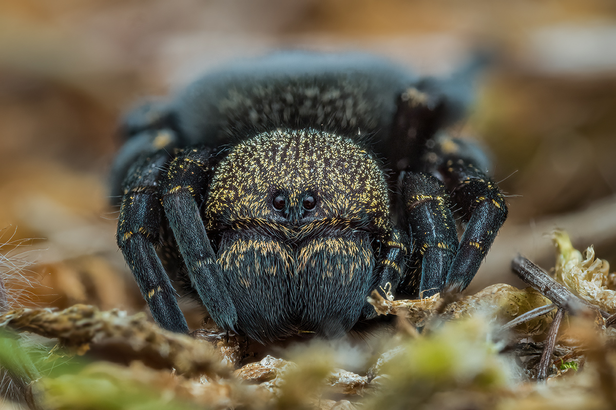 MIR-20220924-9241747-785-ZS-PMax-retouched-Bearbeitet.jpg