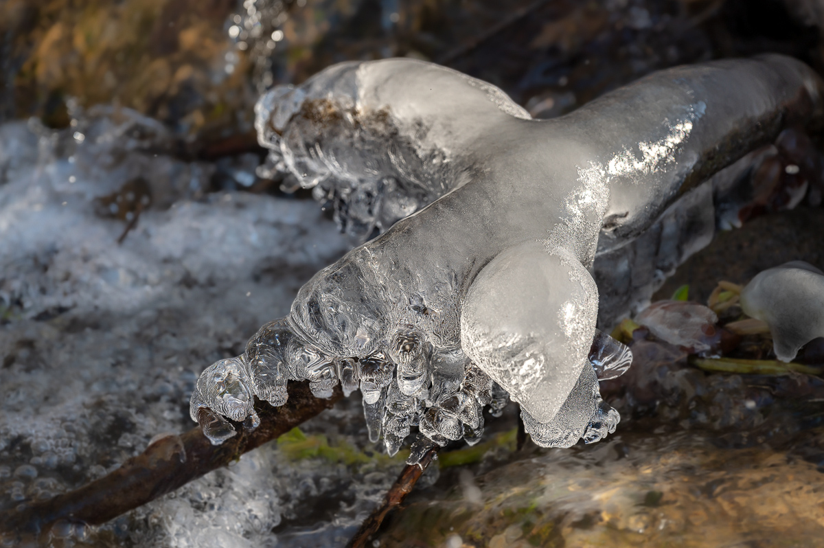 Eisgebilde 6 2023.jpg