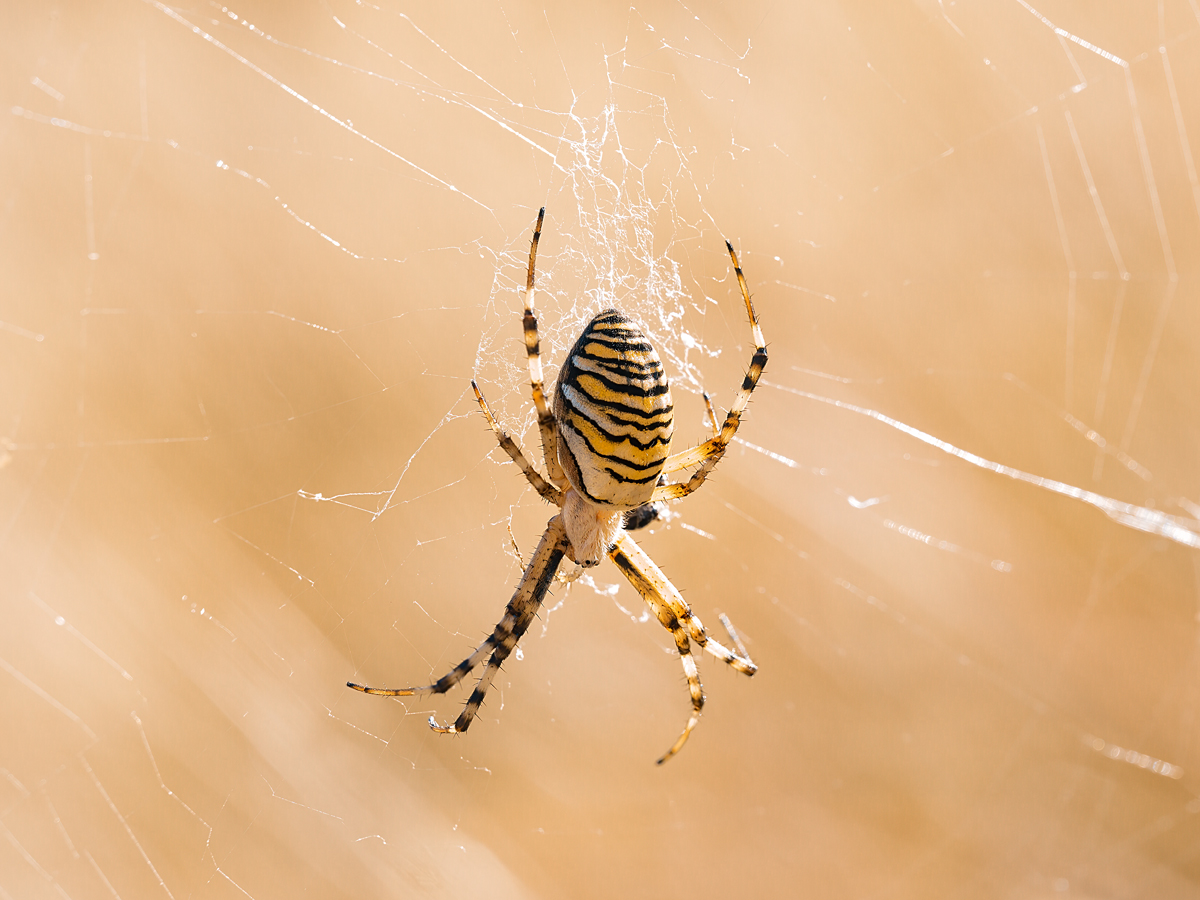 20220803-56797-2.jpg