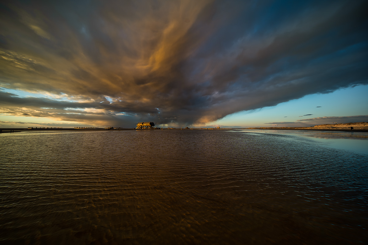 DSC07139.d.kl Kopie.mf.jpg