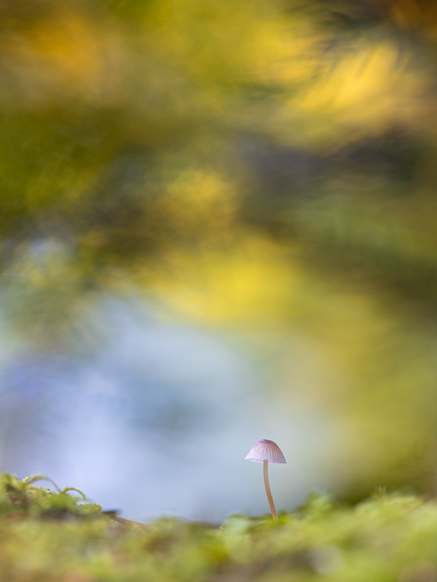 105A8339-Bearbeitet-1.jpg