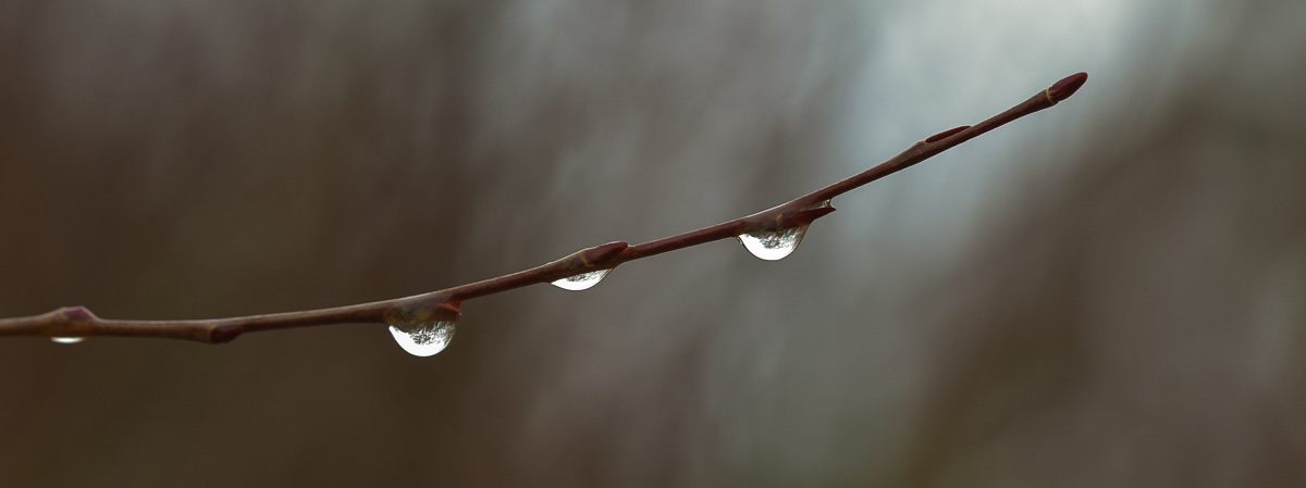 20160123-20160123-.jpg