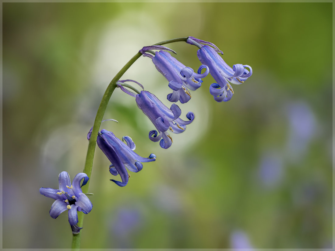 230503_For_91555FS.jpg