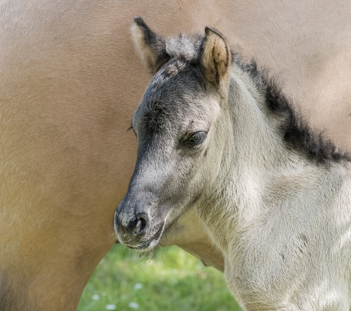 IMG_1423_zum Quadrat - Kopie.jpg