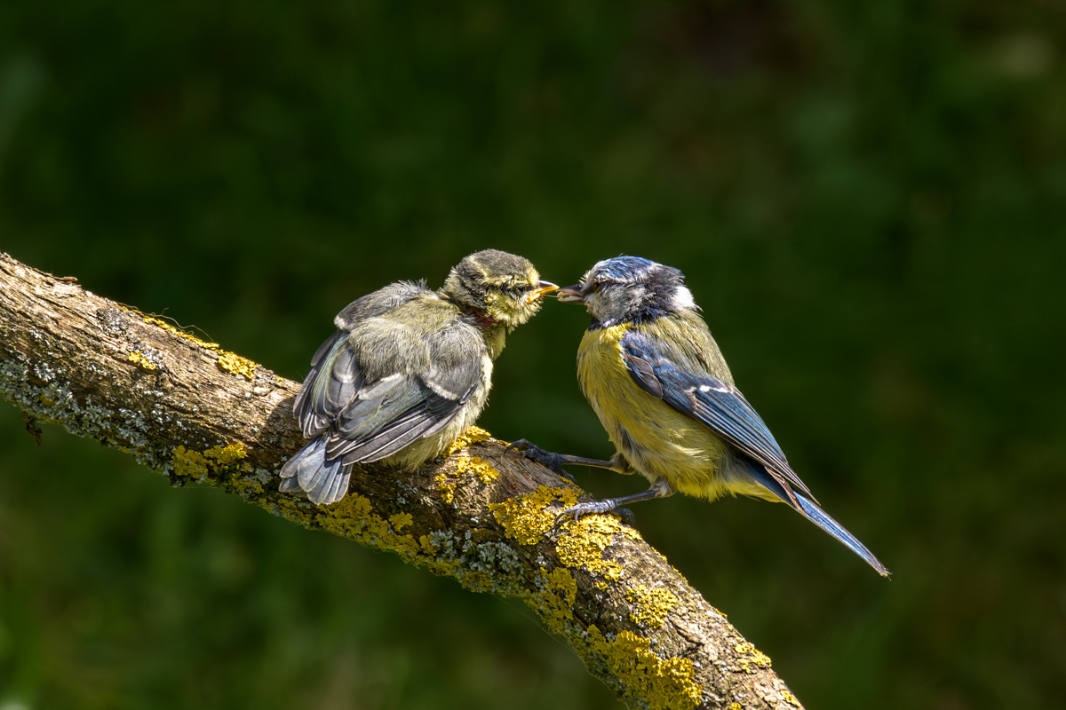 20230529_113315-Verbessert-RR.jpg