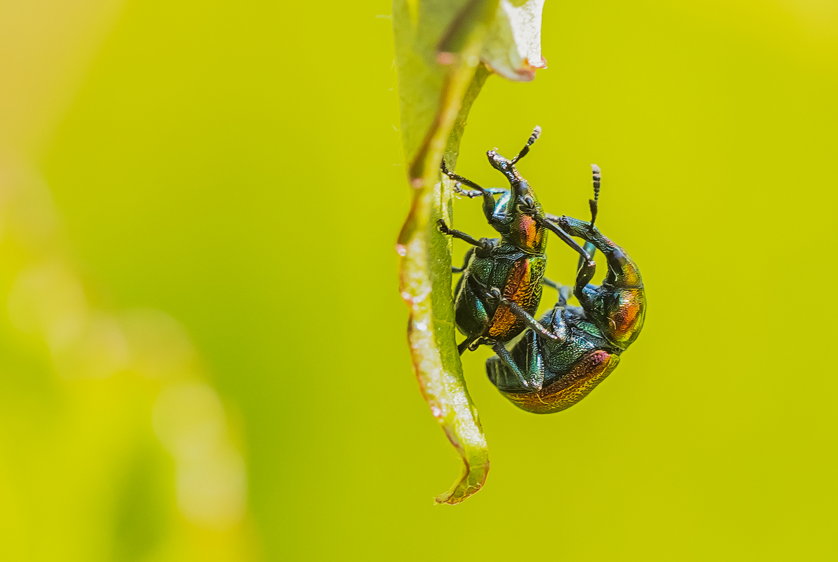 _MG_3957-Bearbeitet - Kopie.jpg