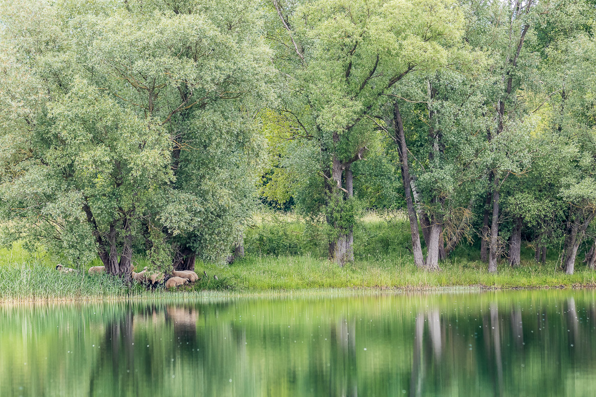 IMG_1571_ - Kopie.jpg