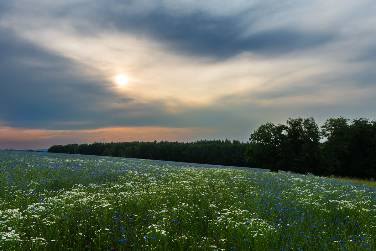 DSC07902-Verbessert-NR.kl Kopie.jpg