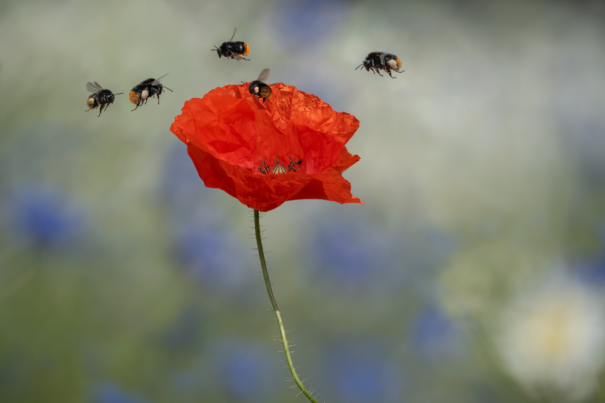 2023-06-26 15-02-55 (B,R8,S4).b.kl Kopie.jpg