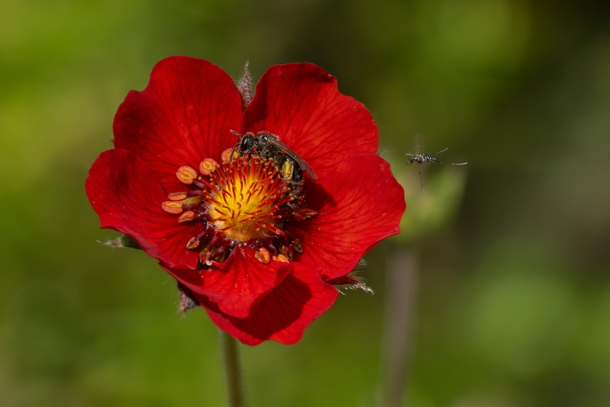 2023-07-03 21-28-43-14+27.kl Kopie.jpg