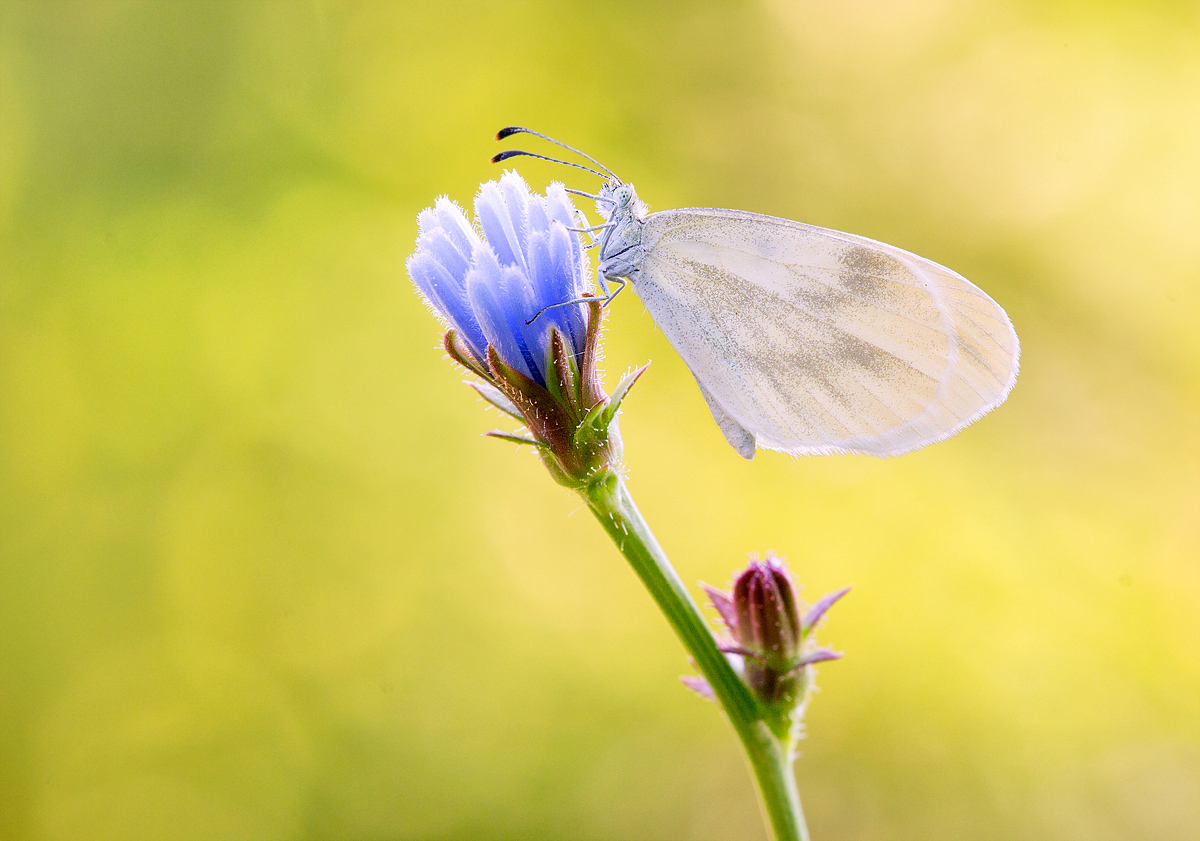 _MG_0530-Bearbeitet Kopie-1.jpg