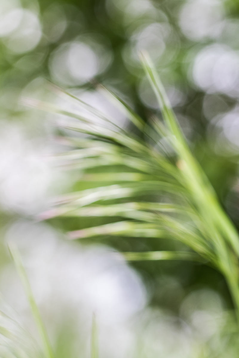 IMG_7866__ - Kopie.jpg