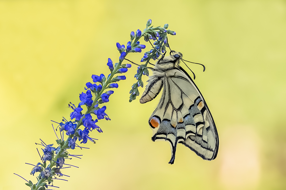 2023-09-09 16-04-13 (B,Radius8,Smoothing4)49-Bearbeitet - Kopie-Bearbeitet.jpg