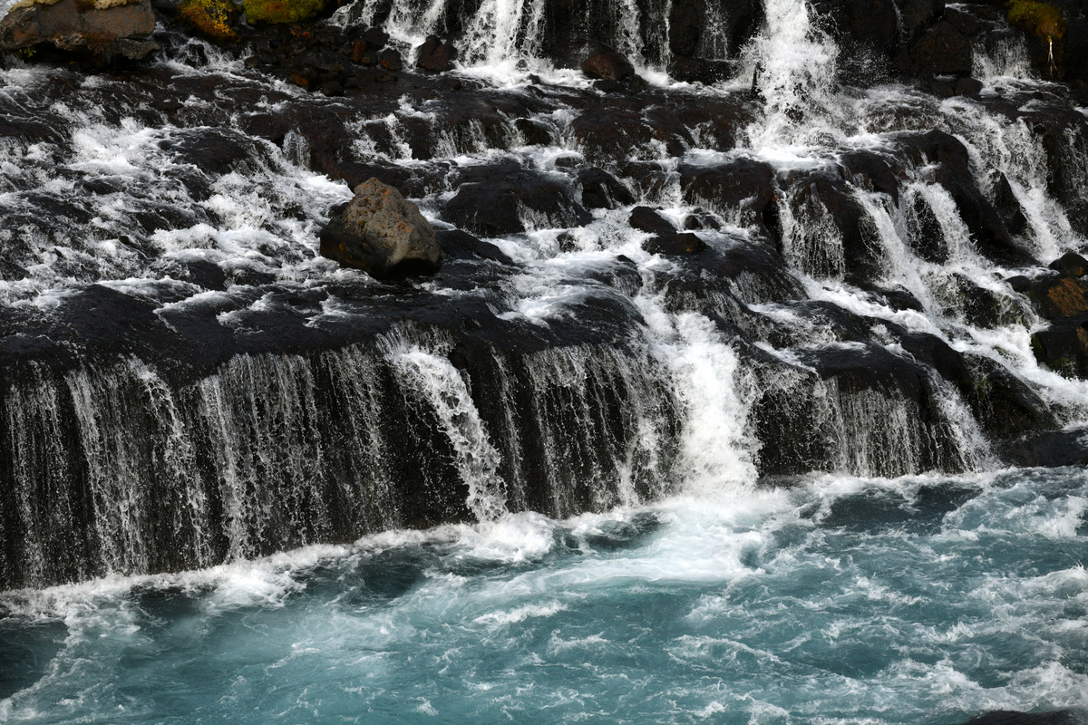 DSC_7920.JPG