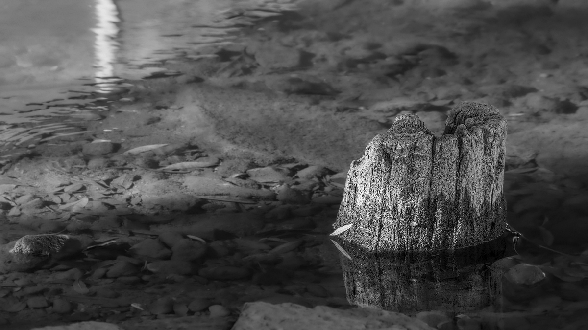 Stillleben 1a 2023.jpg