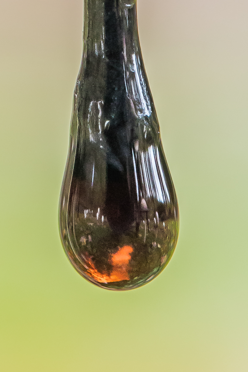 IMG_4418_Extremausschnitt zur Darstellung der Spiegelung_.jpg