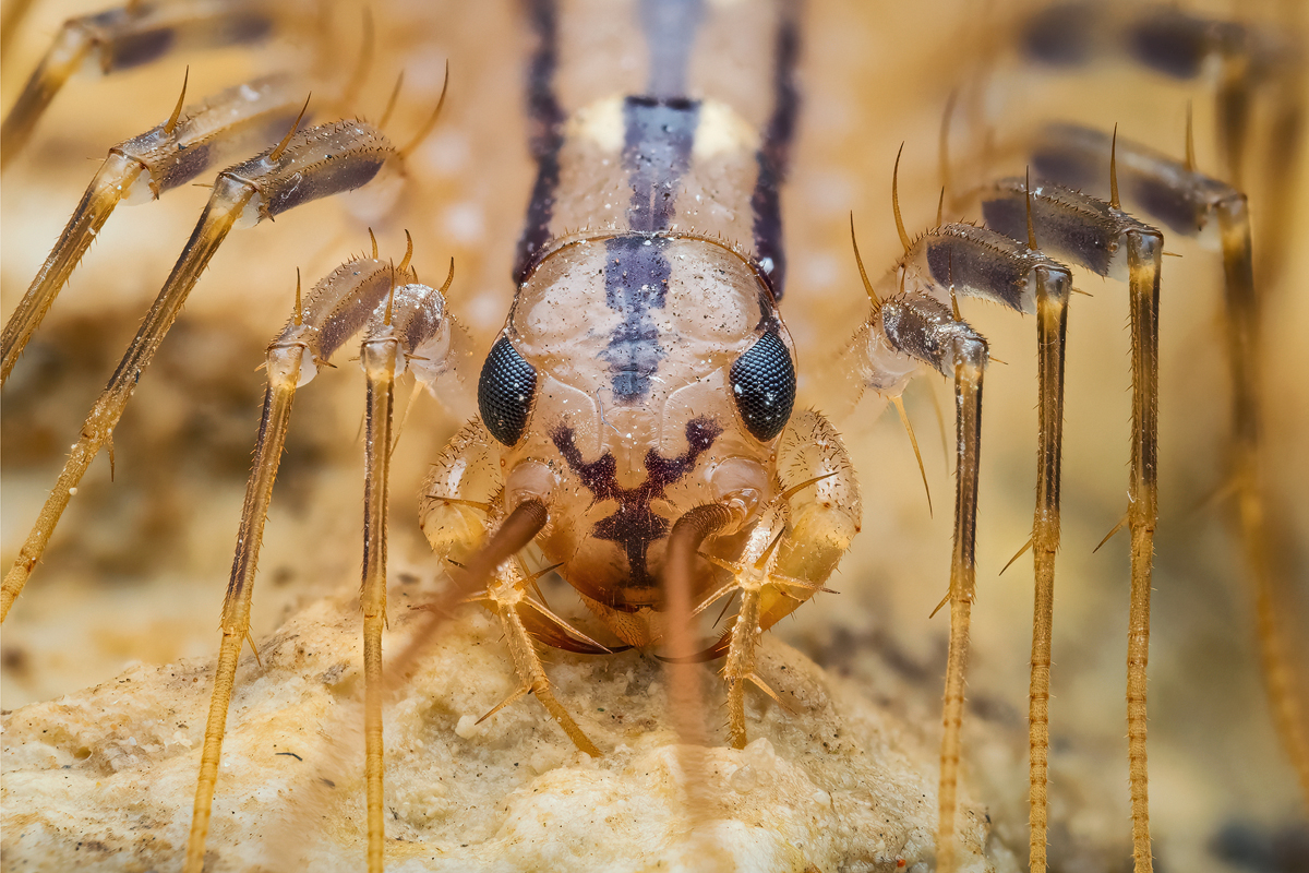 MIR-20210311-3110450-484-ZS-PMax-retouched-Bearbeitet-Bearbeitet-Kopie.jpg