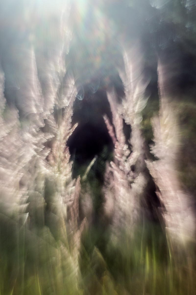 IMG_7671_- Kopie.jpg