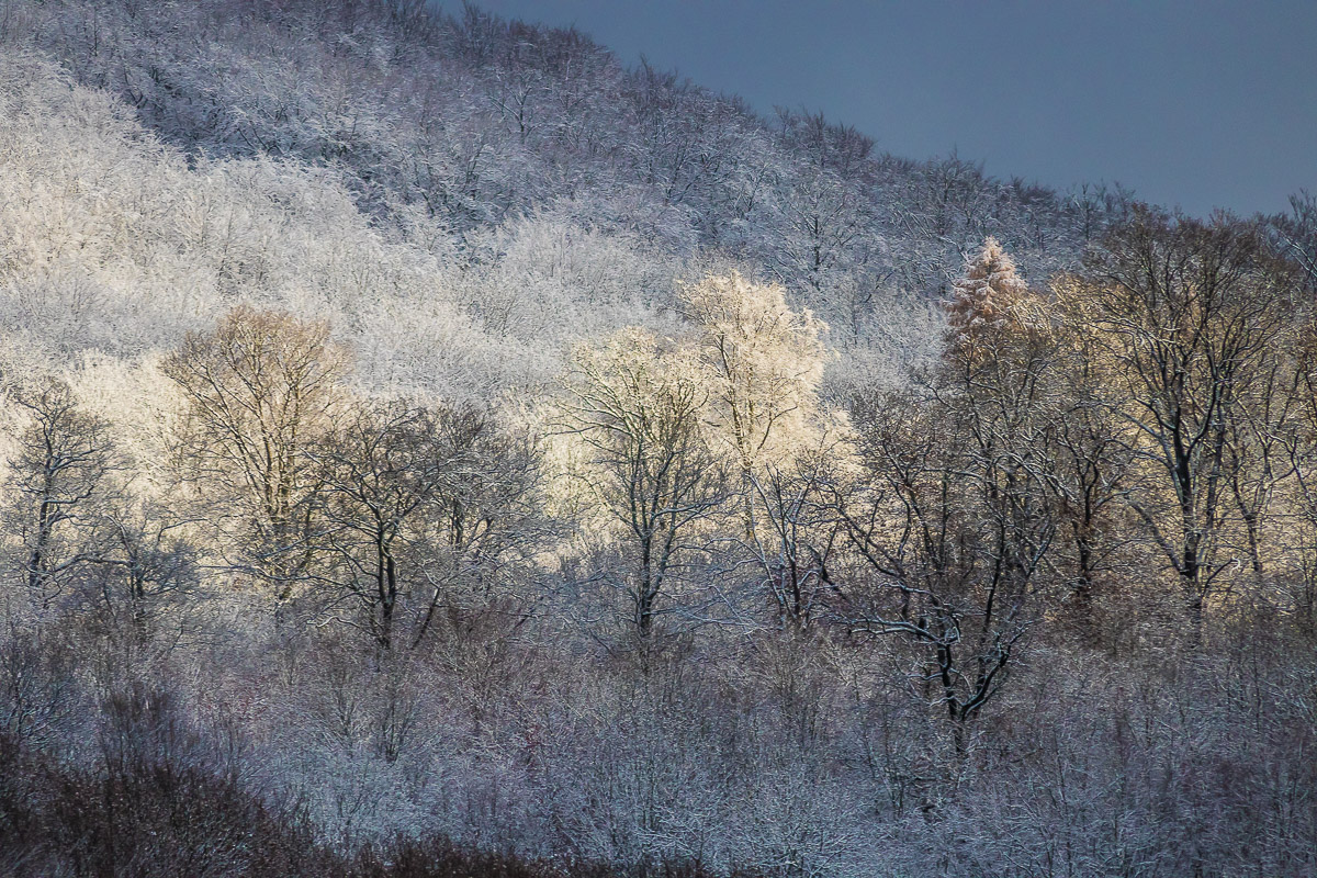 IMG_4516_ - Kopie.jpg