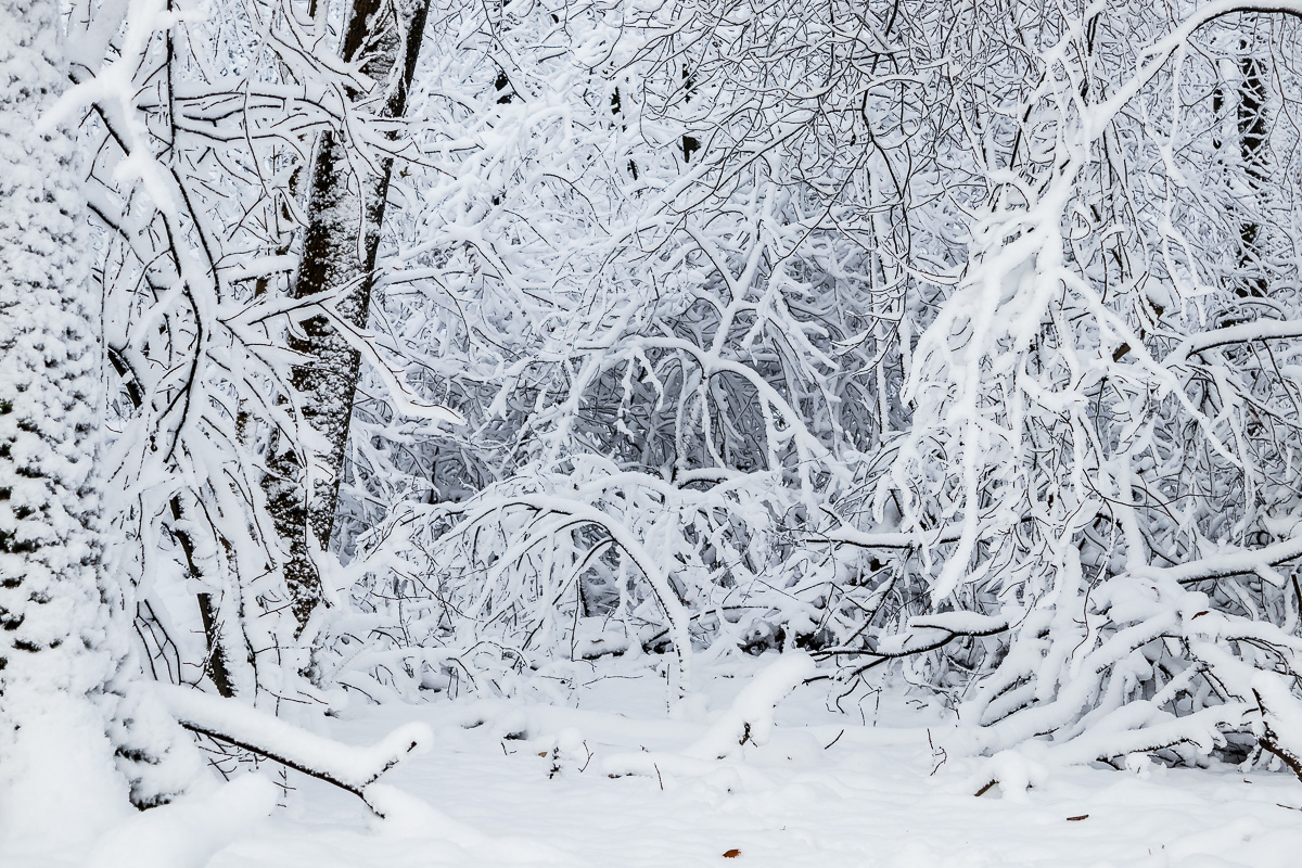 IMG_4541_ - Kopie.jpg