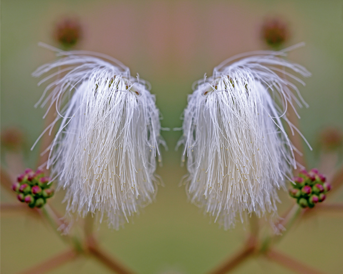 20180712-2018-07-12 17-20-14 (C).jpg