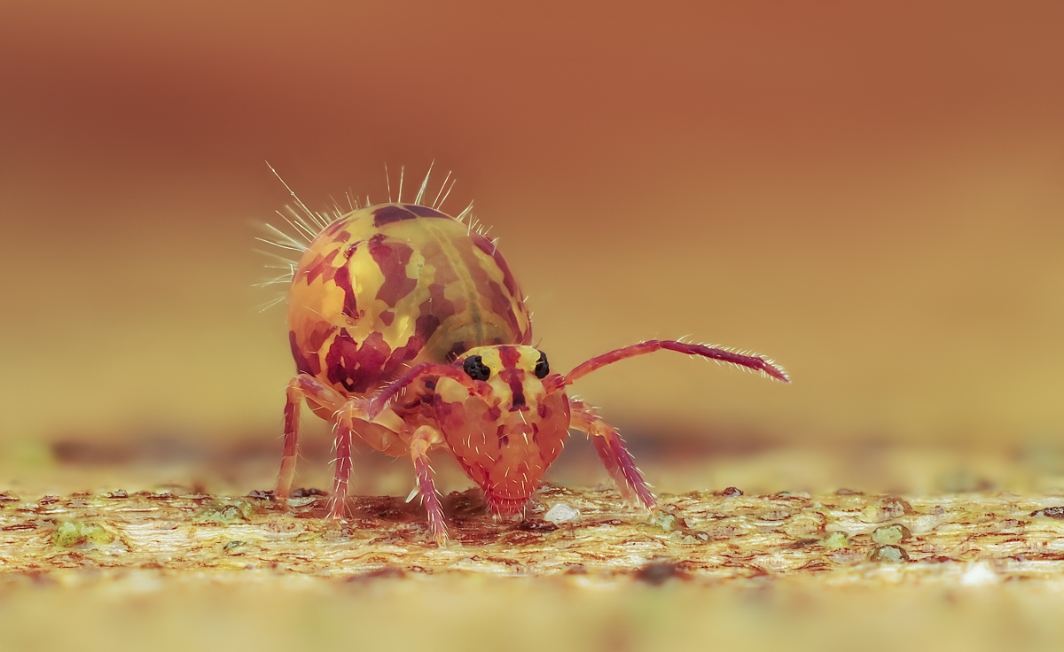 kugel a03 (1 von 1).jpg