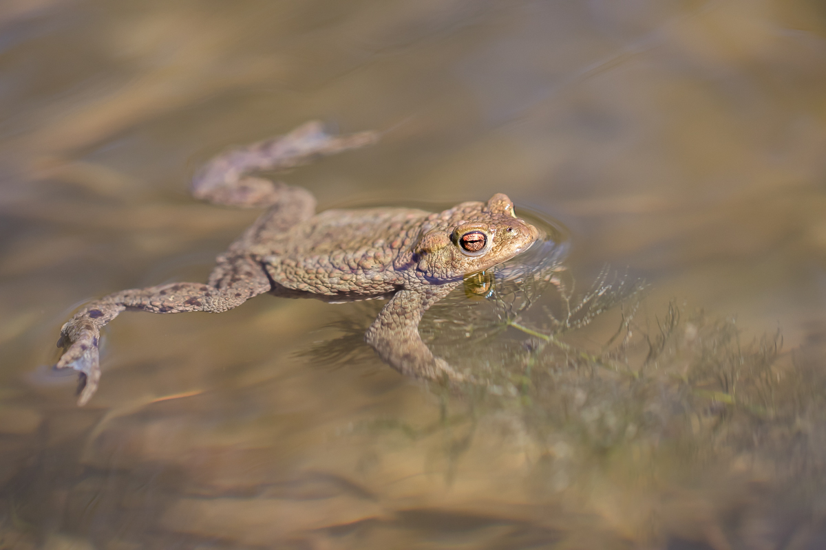 IMG_4970__ - Kopie.jpg