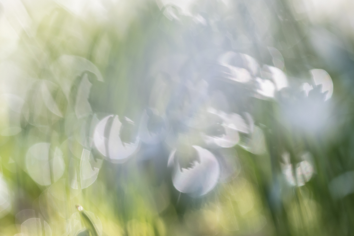 IMG_4902_ - Kopie.jpg