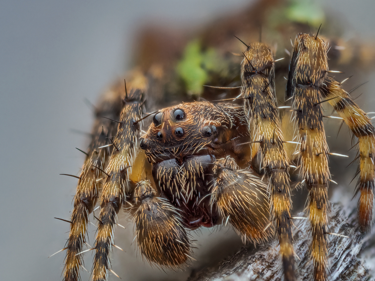 MIR-20240317-3170127-186-ZS-PMax-retouched-Bearbeitet-Kopie.jpg