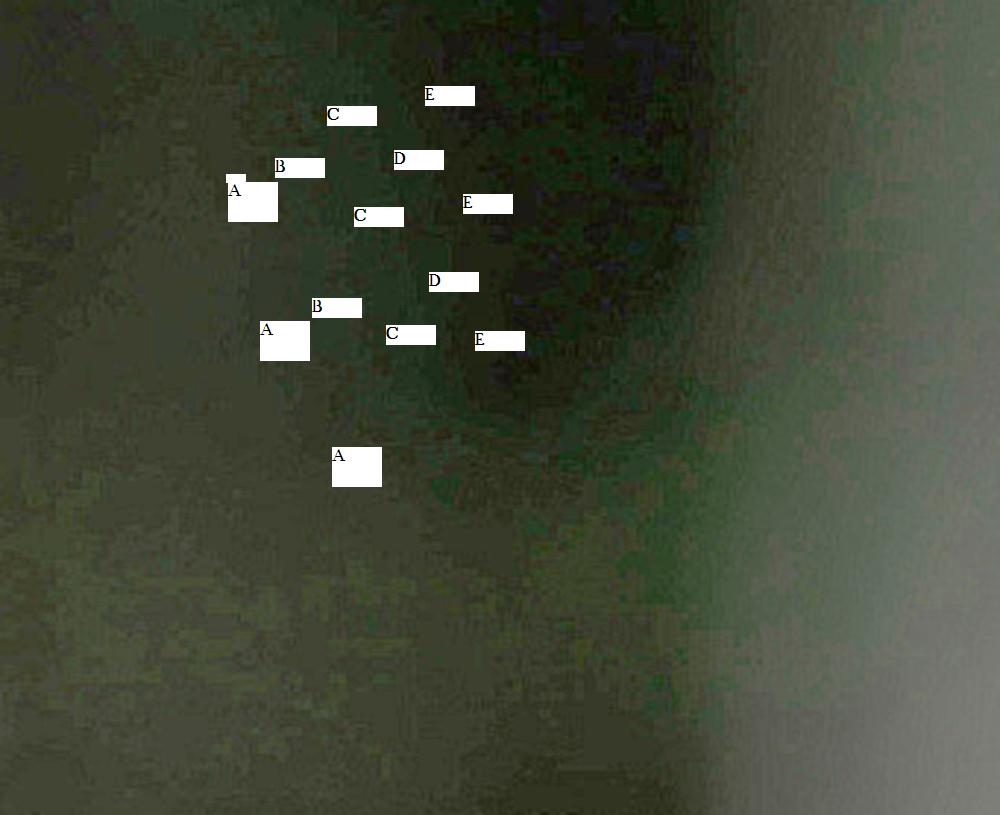 Tonwertabrisse,5 Streifen.JPG