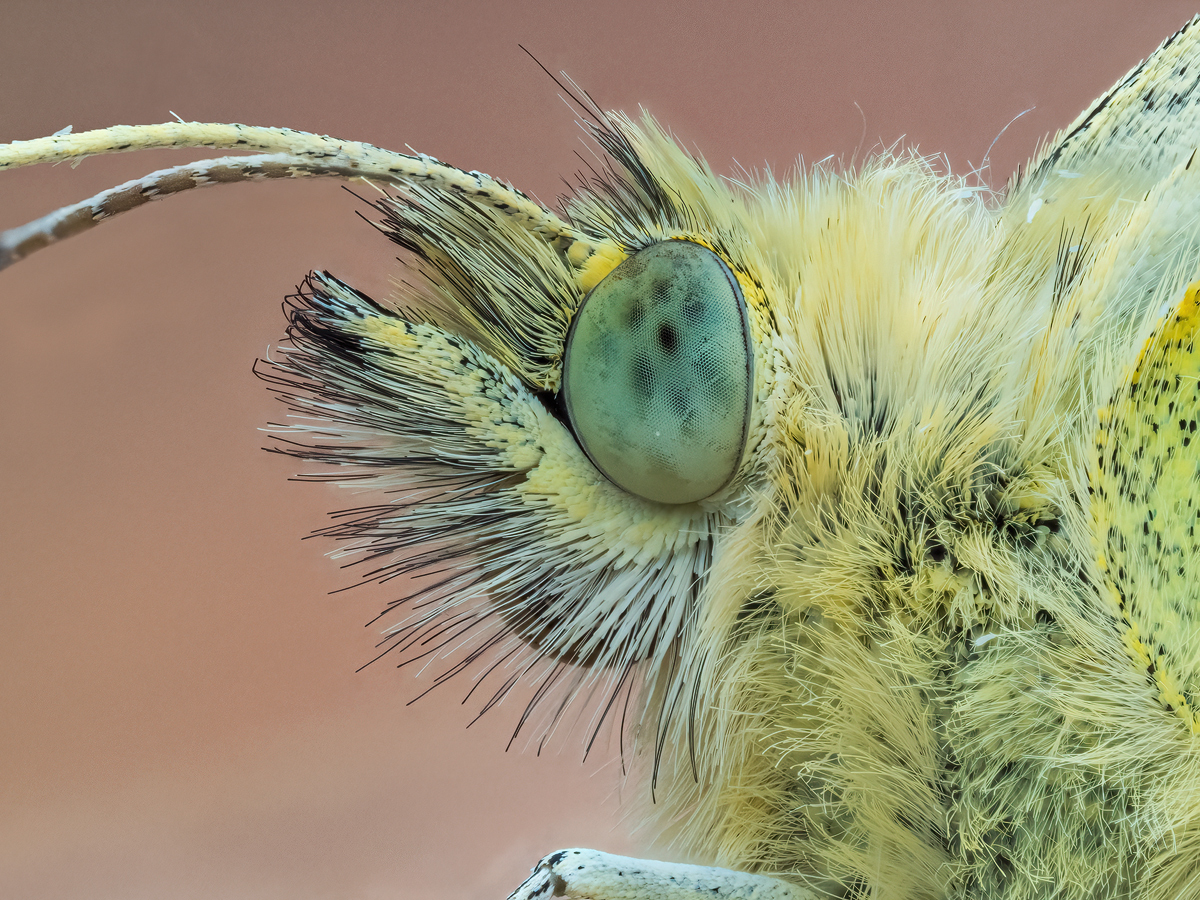 MIR-20240424-4240494-561-ZS-retouched-Bearbeitet-Kopie.jpg