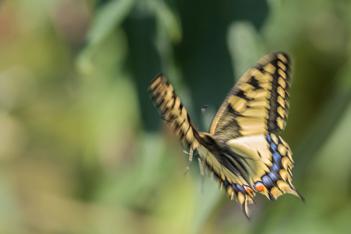 IMG_7744_ - Kopie.jpg