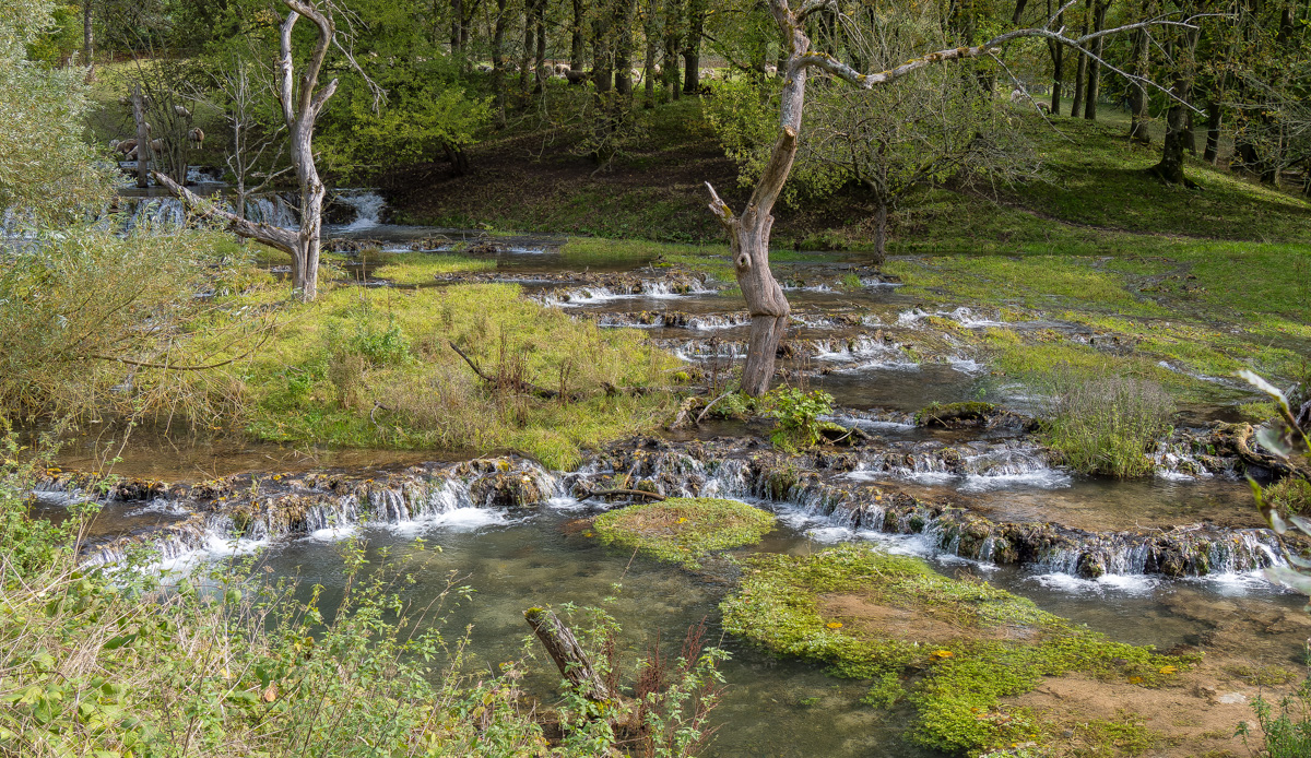 20241012-P1044933-RW2.jpg